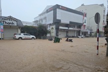 Đường phố Đà Lạt biến thành sông trong cơn mưa