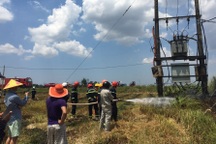 Nông dân đốt rơm rạ làm cháy trạm biến áp, gần 200 hộ mất điện