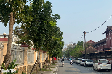 Thừa Thiên Huế rà soát, tổng hợp số liệu dự án cây xanh báo cáo Bộ Công an