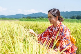 5 trải nghiệm khó quên ở Tokamachi - Nhật Bản