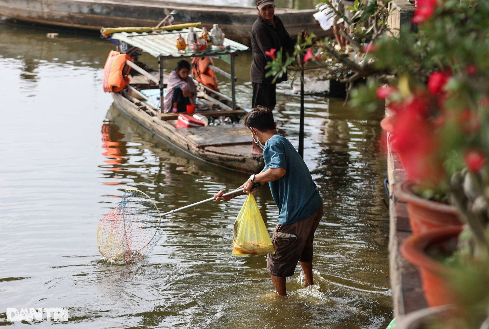 Cá chép chưa kịp tiễn ông Táo lên trời đã bị chích điện - 11 Cá chép chưa kịp tiễn ông Táo lên trời đã bị chích điện - 11