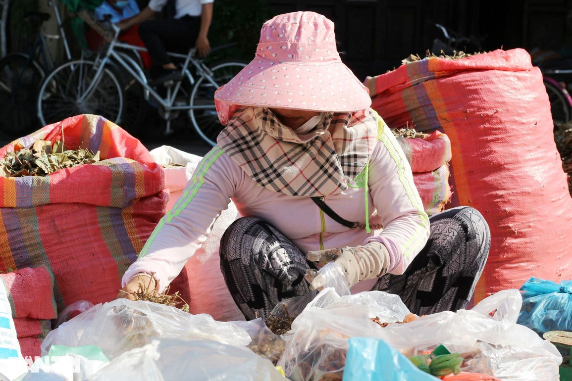 Gom nhặt cả năm cho phiên chợ lá chỉ bán vài ngày Tết Đoan ngọ - 5 Gom nhặt cả năm cho phiên chợ lá chỉ bán vài ngày Tết Đoan ngọ - 5