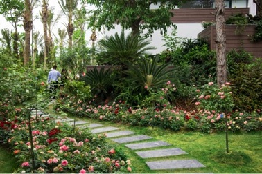 Vương quốc hoa hồng đầu tiên tại Việt Nam