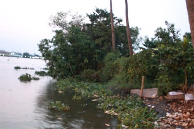 Chích điện bắt cá, một thanh niên chết thảm