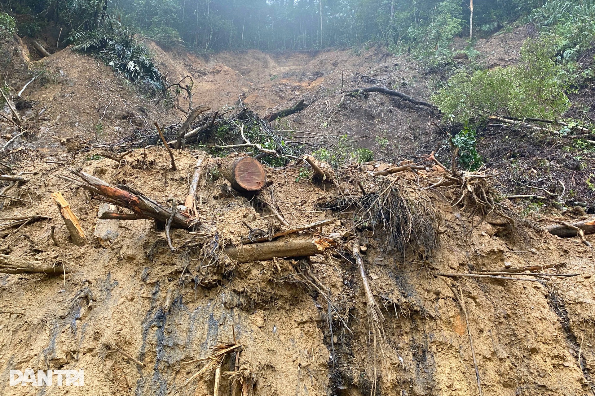 Cầu bị xô nghiêng, sạt lở bủa vây đường, nhà dân trên đỉnh Trường Sơn - 9