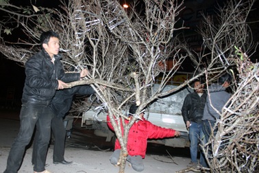 Trắng đêm “đem Tết” về phố