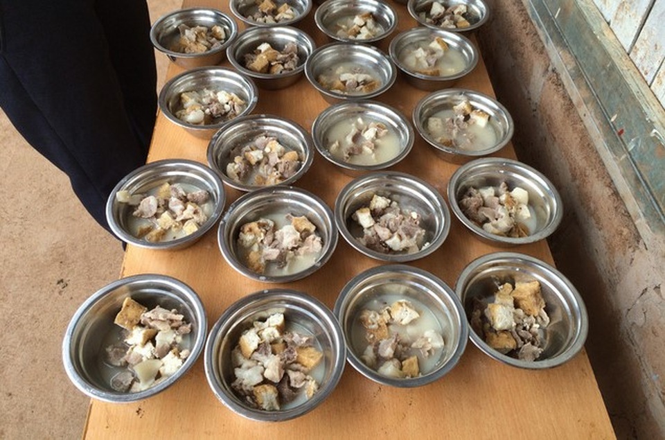 Chàng trai Hà Nội nhặt ve chai, “mang cơm” về bản cho 12.000 học sinh thiểu số - 7