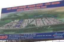 Bắc Giang: Cây lúa biến dạng cạnh khu công nghiệp, nguyên nhân bí ẩn gì?