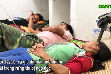 Ăn nấm lạ, 7 người ngộ độc phải nhập viện