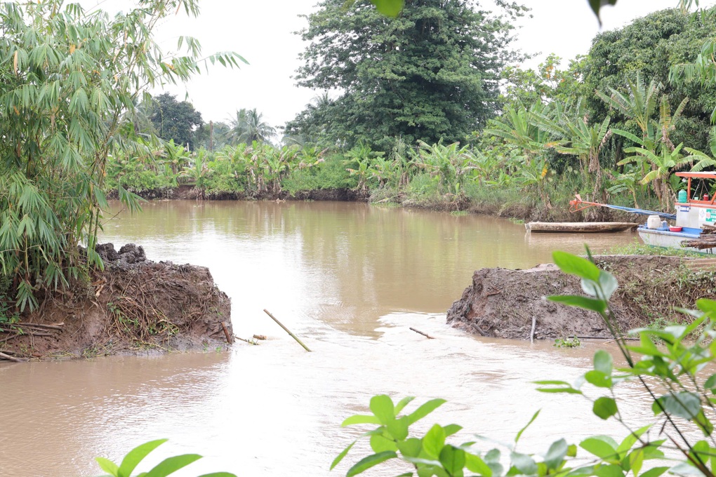 Vỡ đê ở Cần Thơ do triều cường, nước sông Hậu bao vây nhà dân tứ phía - 3 Vỡ đê ở Cần Thơ do triều cường, nước sông Hậu bao vây nhà dân tứ phía - 3