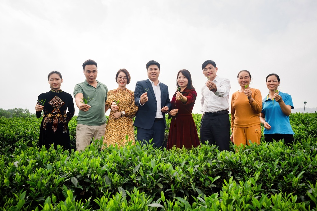 Yêu trà Việt - Cộng đồng kết nối lan tỏa Trà Việt - 1 Yêu trà Việt - Cộng đồng kết nối lan tỏa Trà Việt - 1