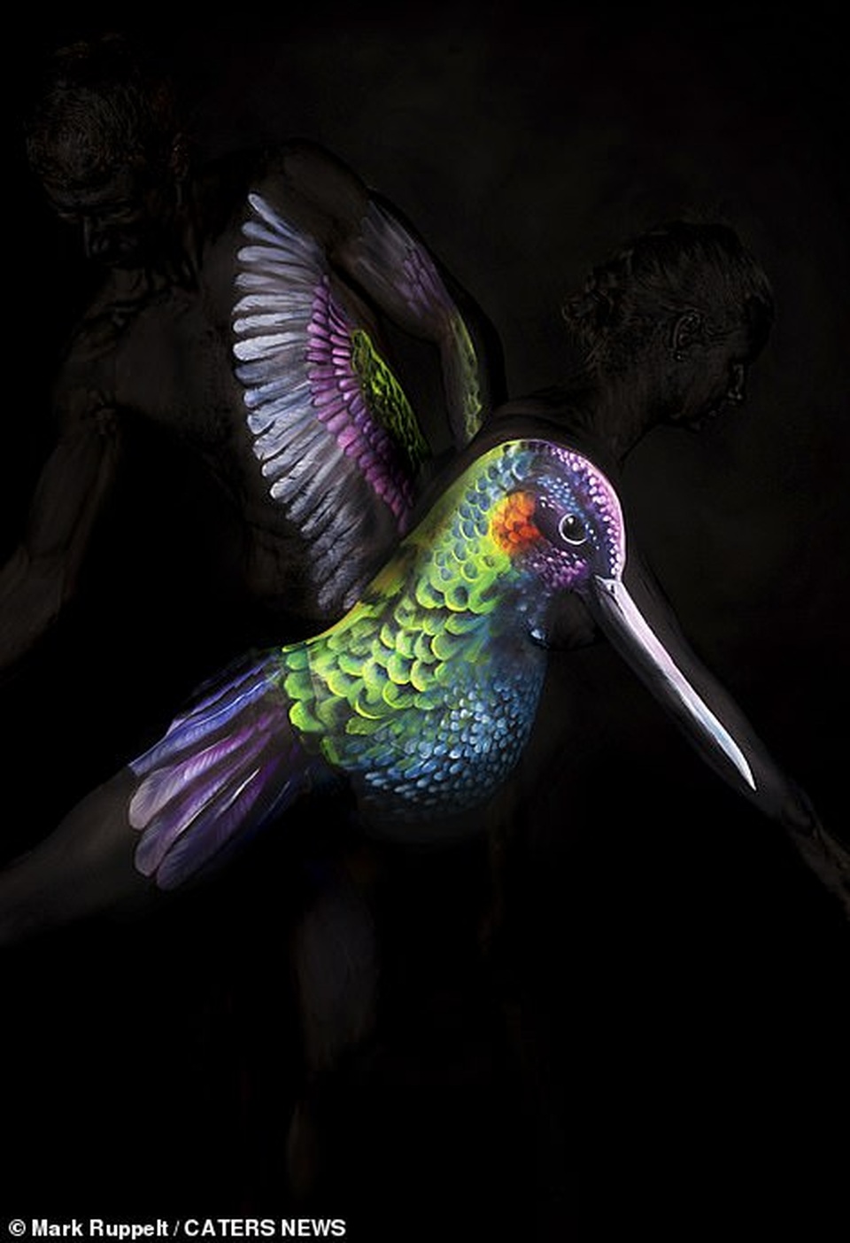 Bà bầu hóa thành bồ nông và gấu mèo qua nghệ thuật body-painting - 8 Bà bầu hóa thành bồ nông và gấu mèo qua nghệ thuật body-painting - 8