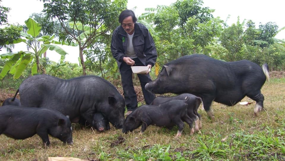 Nghệ sĩ Giang Còi: Thất nghiệp, ở nhà làm thợ xây, chăm gà lợn... - 2 Nghệ sĩ Giang Còi: Thất nghiệp, ở nhà làm thợ xây, chăm gà lợn... - 2