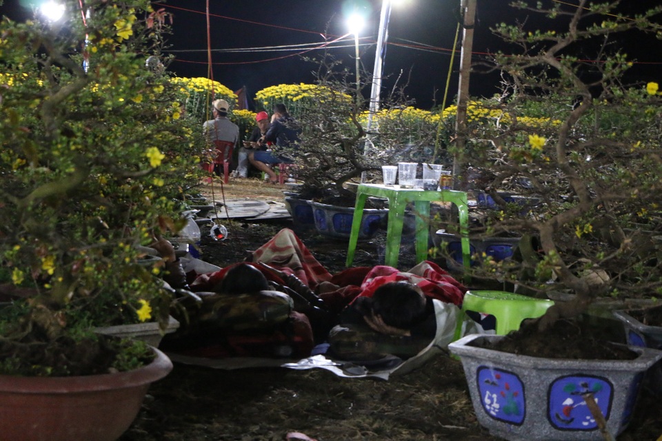 “Ăn gió nằm sương” kiếm tết ở đảo hoa độc nhất Tây Nguyên - 2 “Ăn gió nằm sương” kiếm tết ở đảo hoa độc nhất Tây Nguyên - 2