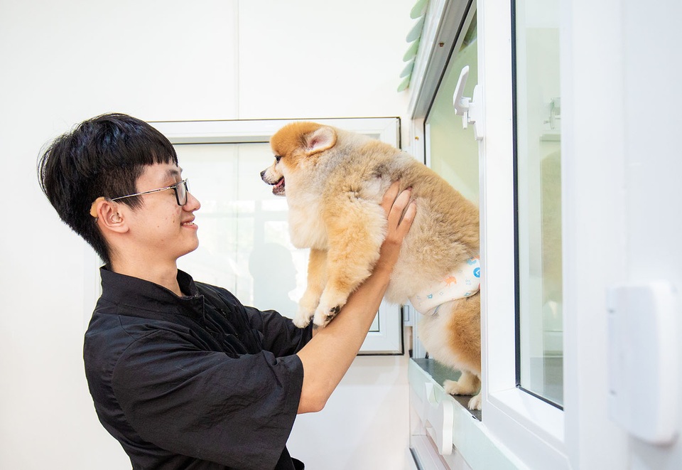 Chi nửa triệu đồng/ngày cho thú cưng đi nghỉ dưỡng ở khách sạn dịp Tết - 4 Chi nửa triệu đồng/ngày cho thú cưng đi nghỉ dưỡng ở khách sạn dịp Tết - 4