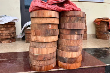 Vận chuyển gỗ trái phép còn lao xe máy vào cảnh sát