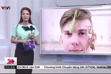 Kiếm bộn tiền từ việc sưu tầm côn trùng