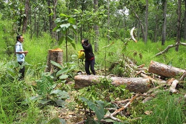 Phó Giám đốc VQG Yok Đôn được điều công tác tại Tổng cục Lâm nghiệp