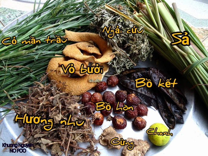 Tôi đã No Poo liên tục như thế nào trong 6 tháng qua? - Ảnh 1. Tôi đã No Poo liên tục như thế nào trong 6 tháng qua? - Ảnh 1.
