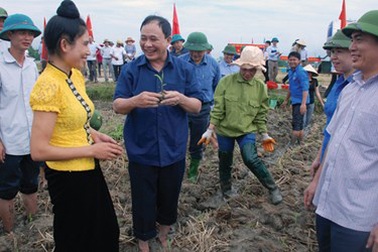 Nhớ vị Bí thư Tỉnh ủy mặc quần đùi lội hồ Thác Bà đẩy tàu mắc cạn