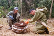 Tuyệt chiêu của thợ săn "ong tử thần"