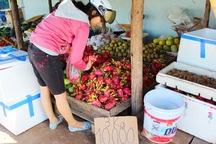 Trái cây “rẻ như cho” tràn ngập đường phố Sài Gòn