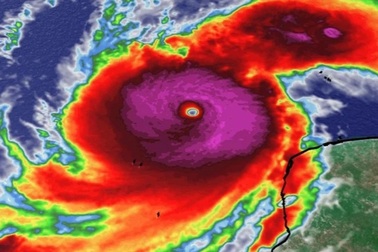 Siêu bão Milton: Giao thông tê liệt, xăng cạn kiệt, siêu thị Mỹ cháy hàng