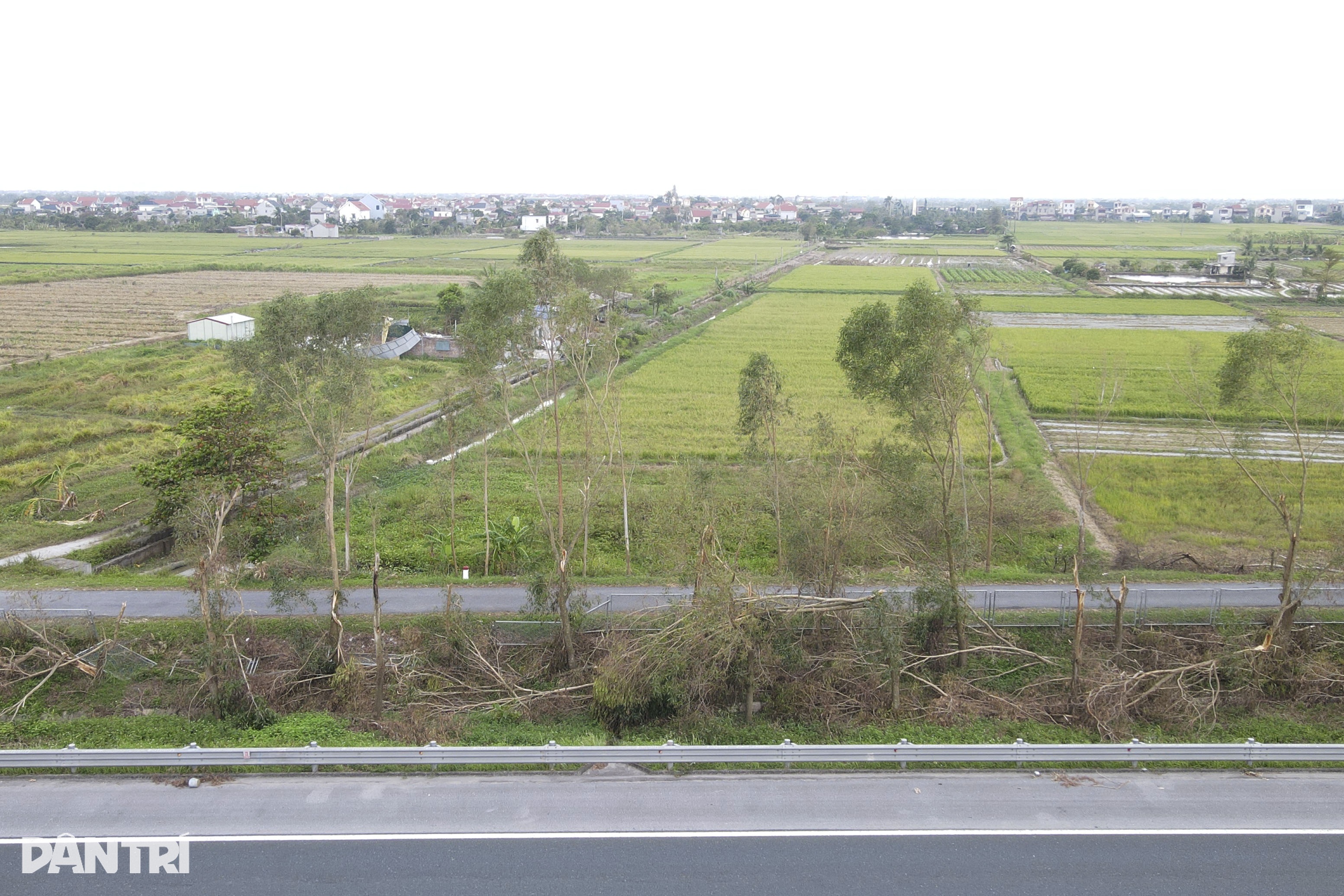 41.000 cây xanh dọc tuyến cao tốc Hà Nội - Hải Phòng gãy đổ do bão Yagi - 2 41.000 cây xanh dọc tuyến cao tốc Hà Nội - Hải Phòng gãy đổ do bão Yagi - 2