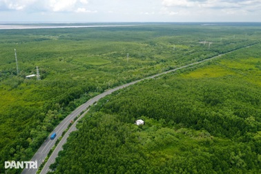 Lập hội đồng thẩm định dự án đường sắt tốc độ cao đi Cần Giờ của VinSpeed