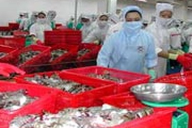 Minh Phú dẫn đầu ngành thuỷ sản về xuất khẩu