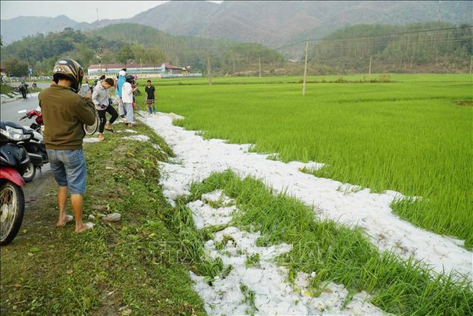 Mưa đá mật độ dày đặc tại Điện Biên - 8 Mưa đá mật độ dày đặc tại Điện Biên - 8