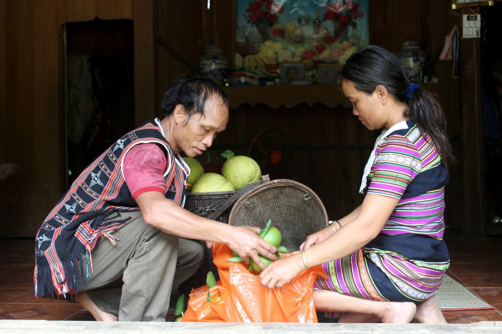 Hiệu quả từ nguồn vốn vay chính sách đối với đồng bào vùng cao - 2 Hiệu quả từ nguồn vốn vay chính sách đối với đồng bào vùng cao - 2