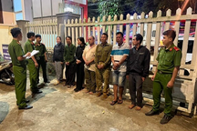 Vụ livestream "công an bảo kê" người cưa cây cà phê: Tạm giữ 7 người