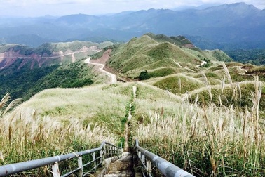 Giới trẻ phát “sốt” với cánh đồng cỏ lau đẹp như tranh vẽ ở Quảng Ninh