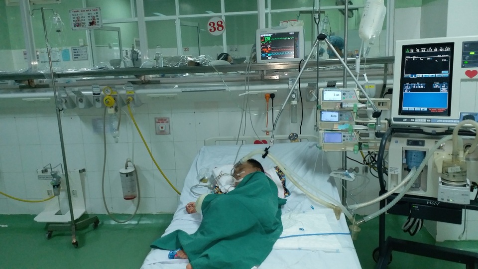 Chọc phá tổ ong, bé trai 4 tuổi bị ong đốt hơn 80 mũi - 1 Chọc phá tổ ong, bé trai 4 tuổi bị ong đốt hơn 80 mũi - 1