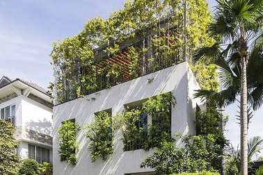 “Trốn” nóng trong ngôi nhà phủ kín cây xanh ở Sài Gòn