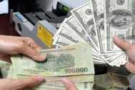 Tỷ giá tăng: Ai đang gom USD?