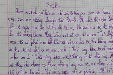 Đưa chuyện “Hà Nội chặt cây” vào bài văn lớp 4