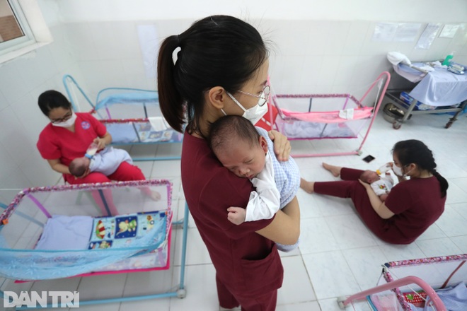 Nước mắt hạnh phúc của những bảo mẫu không chuyên chăm con cho F0 - 1 Nước mắt hạnh phúc của những bảo mẫu không chuyên chăm con cho F0 - 1