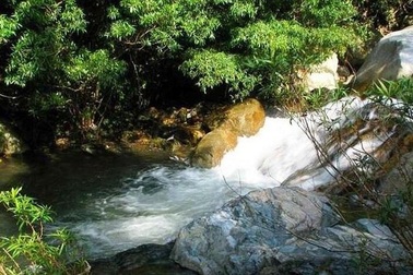 Hai cháu nhỏ theo bố đi câu cá bị đuối nước thương tâm