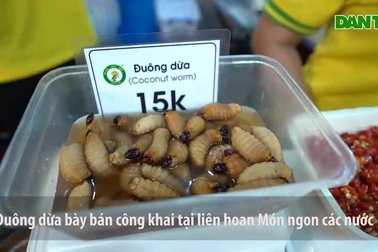 Đuông dừa xuất hiện ở liên hoan món ngon các nước bất chấp lệnh cấm