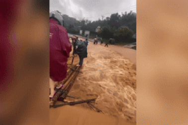 Giáo viên cắm bản vượt lũ trên cầu tạm làm từ 4 cây gỗ