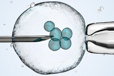 Tác dụng phụ "chết người" của thụ tinh ống nghiệm