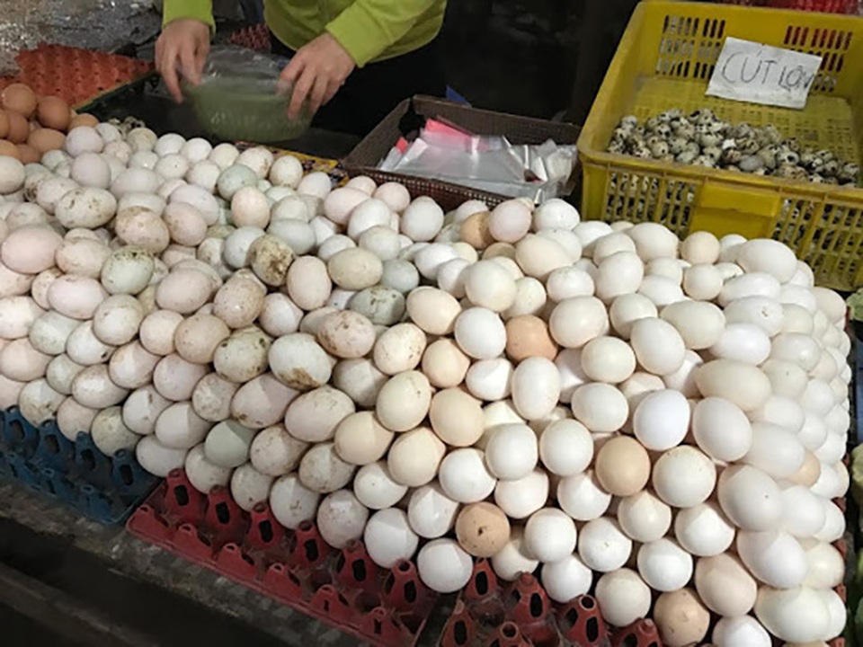 Trứng gà rẻ hơn rau, chủ trang trại lỗ chục tỷ đồng - 1 Trứng gà rẻ hơn rau, chủ trang trại lỗ chục tỷ đồng - 1