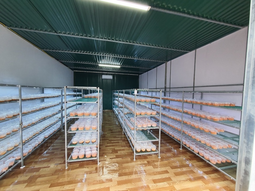 Đông trùng hạ thảo công nghệ Nhật Bản được nhiều người yêu thích - 2 Đông trùng hạ thảo công nghệ Nhật Bản được nhiều người yêu thích - 2