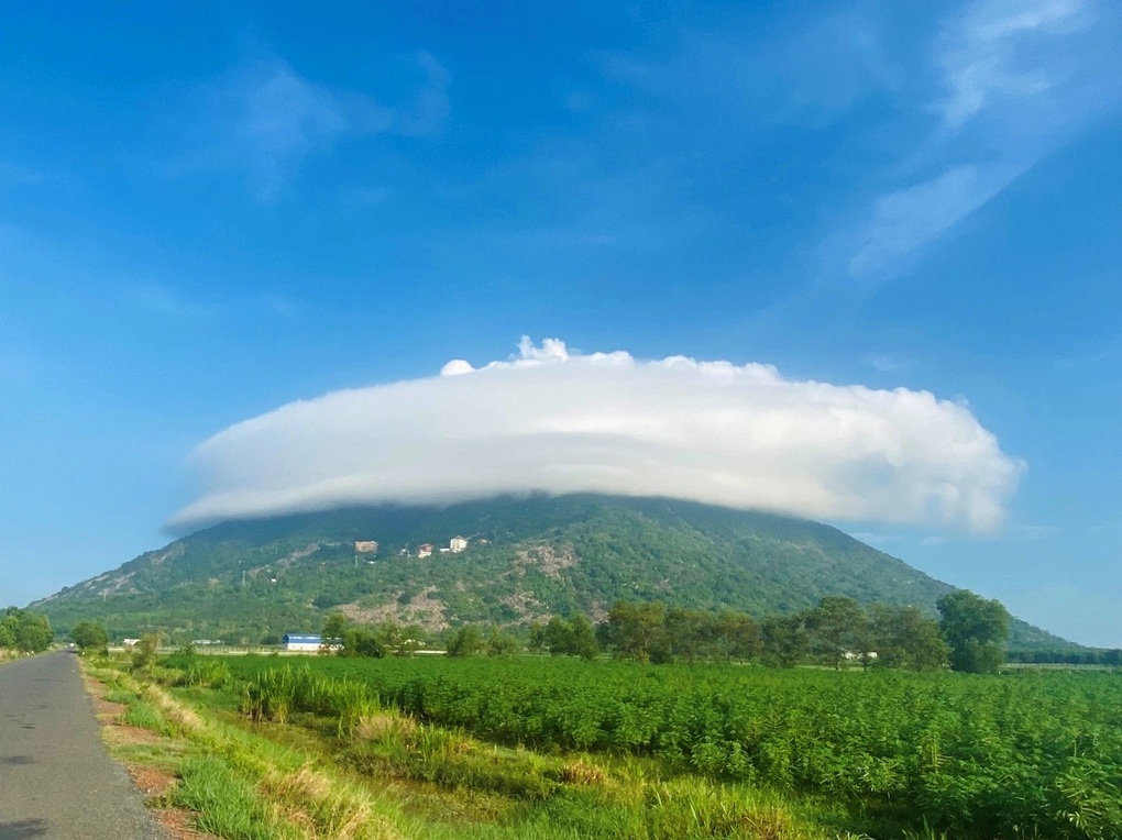 3 điểm chữa lành gần TPHCM cho người yêu thiên nhiên, thích vận động - 2