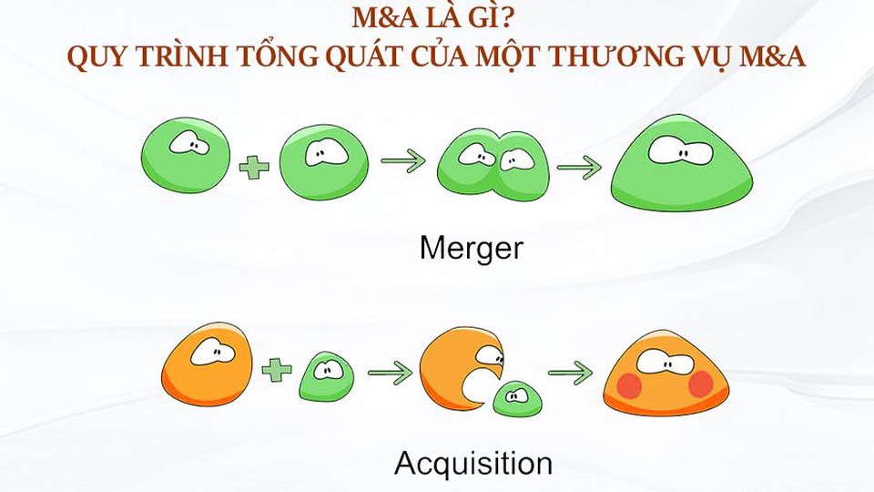 Người nước ngoài thâu tóm đất: Ẩn họa từ MA - 1 Người nước ngoài thâu tóm đất: Ẩn họa từ MA - 1