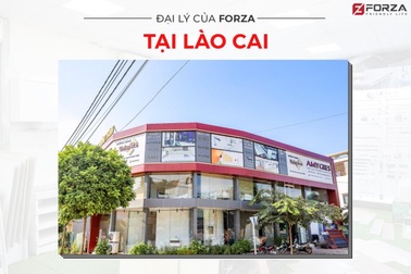 Cơ hội hợp tác phát triển cùng thương hiệu Forza và tham vọng phủ sóng đại lý trên toàn quốc
