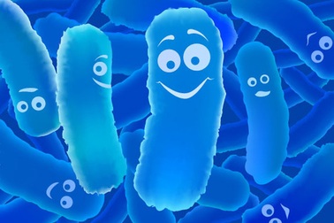 Tác dụng vàng của lợi khuẩn cho người viêm đại tràng