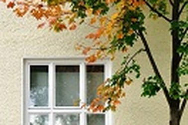 Ấu thơ trong tôi là …